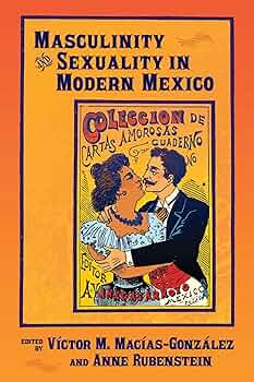 洋書 Italian Masculinity as Queer Melodrama 洋書 Italian Masculinity as Queer Melodrama Amazon.com